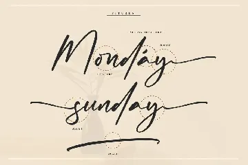 Abigaila Signature Font