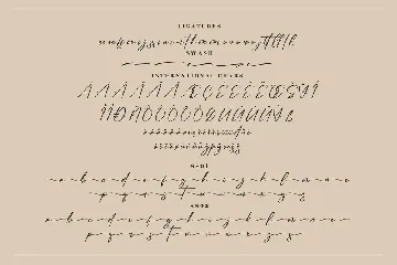 Abigaila Signature Font