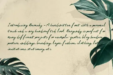 Barnaby Monoline Signature Font