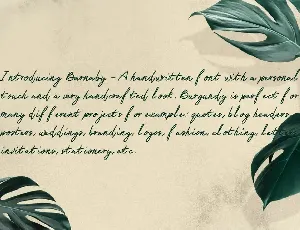 Barnaby Monoline Signature Font