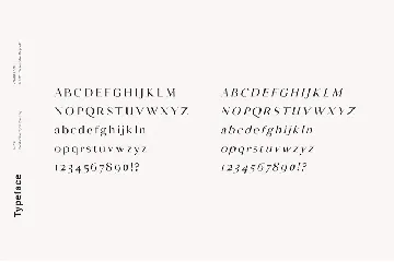 Minyi - A Feminine Serif Typeface font