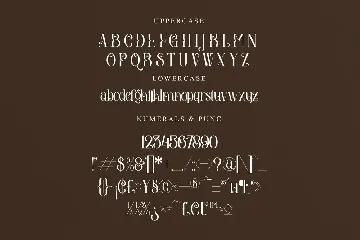 Amegap Stylish Serif Font