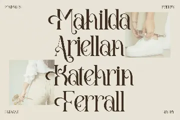 Amegap Stylish Serif Font