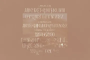 Bagias Stylish Serif Font