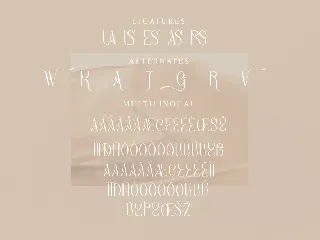 Bagias Stylish Serif Font