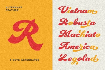 Plastun - Vintage Display Font