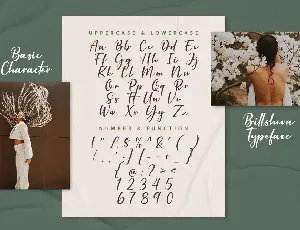 Billsheva Classy Script Font