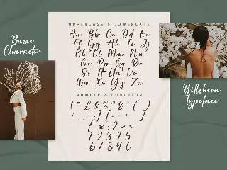 Billsheva Classy Script Font