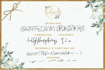 Bellissima Signature Script Font