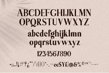 Themagic Serif Font + Bonus