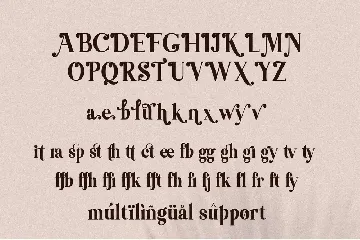 Themagic Serif Font + Bonus