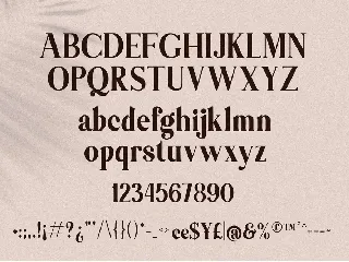 Themagic Serif Font + Bonus