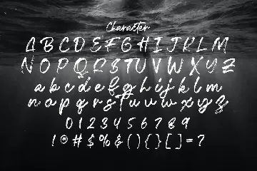 Fentry - Textured Brush Font