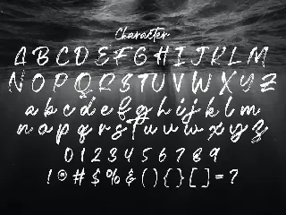 Fentry - Textured Brush Font