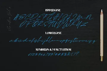 Sophia Bella Signature Font