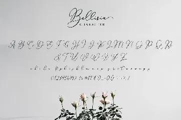 Bellisia Script Font!