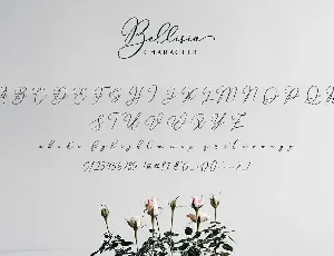 Bellisia Script Font!