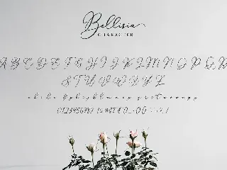 Bellisia Script Font!