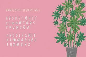 Wandering Flowers Font Duo