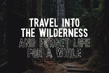 Wonderful Wilderness Font Duo