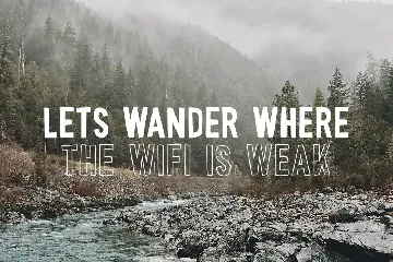 Wonderful Wilderness Font Duo