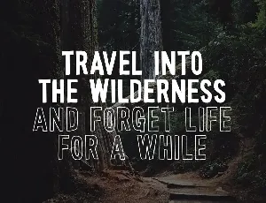 Wonderful Wilderness Font Duo