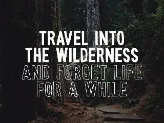 Wonderful Wilderness Font Duo