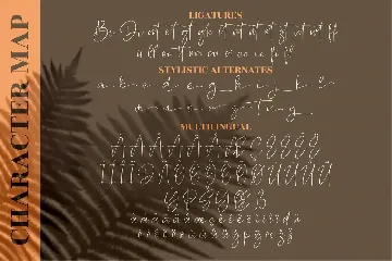 Yesterday Delmote Signature Font