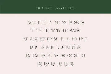 Vallura - Serif Display Font