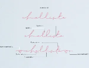 Challista Signature Font