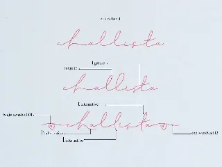 Challista Signature Font