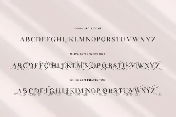 Oliva Serif Font Trio