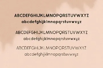 Avocado Sans Font Family