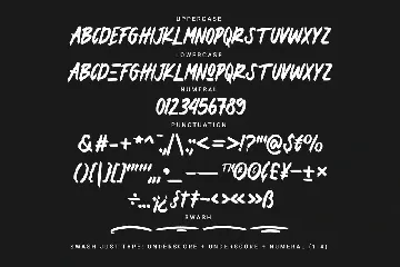 Belion Sadge font