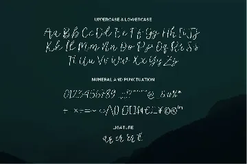 Noerdick - Modern Script fonts