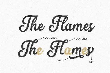 The Humber - Vintage Bold Script Font