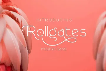 Rollgates Modern Sans Serif font