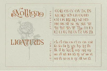 Nolliga Typeface font