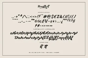 Bruskest - Handwritten Brush Font