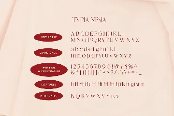 Quinstory - Romantic Beauty Lovely Serif Font