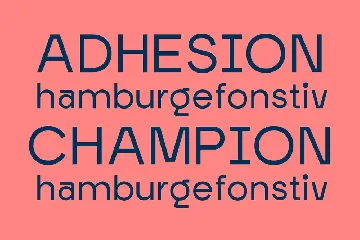 Morgaty Sans Display Font