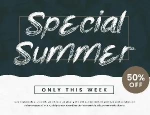 Meet to Summer - Summer Brush Typeface font