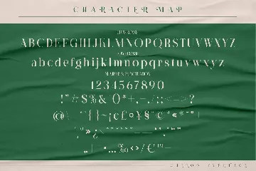 Chelon Classy Serif Font