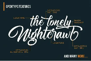 Nightfall Script font