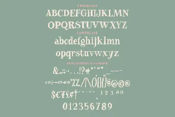 Freed Madison - A Quirky and Playful Serif font