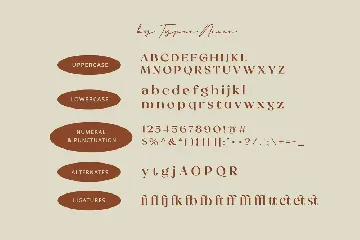 Kattelyn - Vintage/Classic Beauty Elegant Serif font