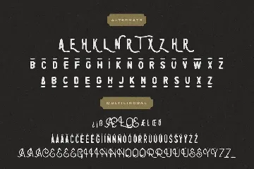 Rontrelan Monoline Vintage font