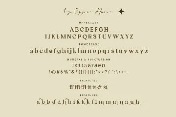 Nekolina - Beauty Vintage Serif Font