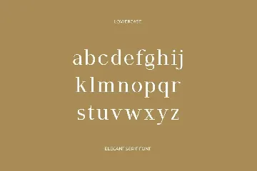 Windorse Display Serif Font