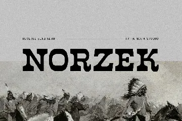 Norzek - Retro Vintage Reverse Slab Serif Font